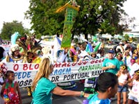 Bloco Maluco Beleza ( Foto : www.primeiraedicao.com.br)